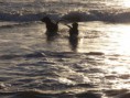/album/fotogaleria/a555abcdef-007-jpg/
